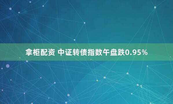 拿柜配资 中证转债指数午盘跌0.95%