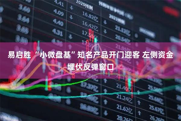 易启胜 “小微盘基”知名产品开门迎客 左侧资金埋伏反弹窗口