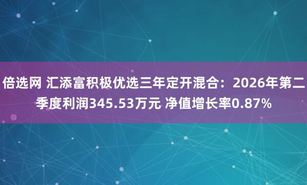 倍选网 汇添富积极优选三年定开混合：2026年第二季度利润345.53万元 净值增长率0.87%