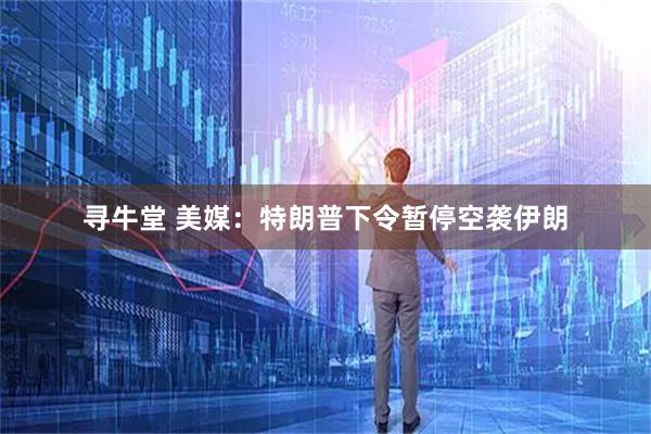 寻牛堂 美媒：特朗普下令暂停空袭伊朗